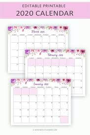 Editable 2020 Monthly Calendars Printable In 2020 Editable Monthly Calendar Monthly Calendar Printable Planner Calendar Printables