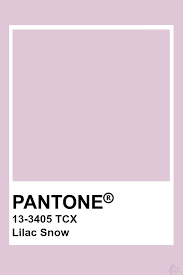 Pantone Lilac Snow Pantone Colour Palettes Pantone Color Pantone Swatches