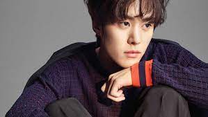 공명 / gong myung (kong myeong). Gong Myung Profile Age Movies Tv Shows Girlfriend And Facts Wikifamouspeople