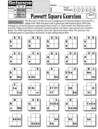 In the mean time we talk related with punnett square worksheets, scroll the page to see various variation of pictures to complete your references. Punnett Square Practice Worksheets Teaching Biology Biology Lessons Biology Classroom
