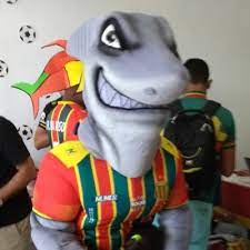 Sampaio corrêa acabou sendo derrotado pela cabofriense, por 1 a 0, no lourival gomes de almeida, em saquarema. Tutuba M1l Gr4ul On Twitter Semifinal Do Brasileirao Serie C 2019 Sabado 14 De Setembro 17h Confianca X Sampaio Correa Arena Batistao Transmissao Band Dazn Youtube E Facebook Vumborasampaio Nosqueremosotetra