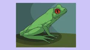 The goal of these is to establish the proportions of the frog and to define some of it's basic shapes. 3 Ways To Draw A Frog Wikihow