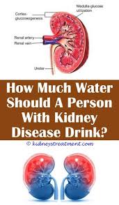 Pin On Kidney Disease Diet