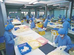 We the edible oil sdn bhd malaysia has been in existence since 2000 and we are well known for our high quality production and good services, we based our business and services with honesty and trust bhd. Https Cdn1 I3investor Com My Files St88k 4065 Ppb Annual 2005 12 31 4065 Ppb Annualreport 2005 12 31 Ppb Handbook 20 Part 203 862kb 1371464819 Pdf