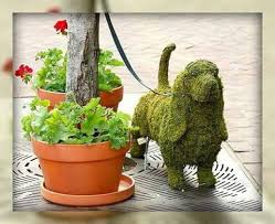 Basset Chia Pet Weiner Dog Dog Cafe