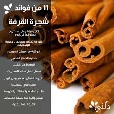 من فوائد شجرة القرفة لم ي سمع بها من قبل Cinnamon Sticks Spices Cinnamon
