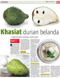 1) menyerang sel kanser secara efektif dan semulajadi, tanpa rasa mual, berat badan turun, rambut gugur, seperti yang terjadi pada terapi kemo. Khasiat Durian Belanda Klik