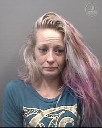 Name: Dawn Elizabeth Elliott Age/Gender/Race: 40/Female/White Arrest Date:  03/05/2025 Charges: 1. Display Expired Registration Plate 2. Permit  Operation of Vehicle Without Insurance 3. Resist, Obstruct, Delay Officer