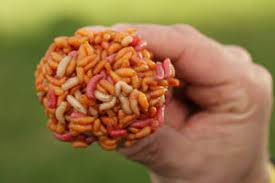 Many maggots make use of either color or vibration to create a curiosity in the fishes and make them move towards the bait. Maggots Total Fishing