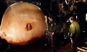 Slither Brenda There S Something Wrong With Me Bill Yeah So What S Going On Here Exactly Brenda I M So Hungry Bill I Zombie Movies Nathan Fillion Movies