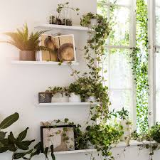 Malmback White Display Shelf Ikea Display Shelves Ikea Display Shelves Ikea Picture Ledge