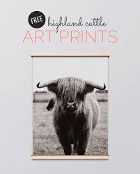 Enter and get more original animal coloring sheets for free. Free Black And White Art Prints Of Highland Cattle Common Canopy