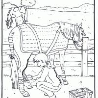 Slightly difficult, you need to be a little handy with the scissors. Kleurplaten Paardenhoofd Kleurplaten Kleurplaat Nl