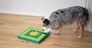 Check spelling or type a new query. The 6 Best Dog Puzzle Toys For Mental Stimulation Furtropolis