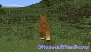 If you wonder about the future of this project, and what new updates might bring in, then make sure to checkout issues page on github. Metamorph Mod 1 17 1 1 16 5 1 15 2 1 14 4 For Minecraft