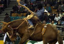 National Western Stock Show And Rodeo 2017