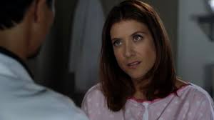 bee made this (@addisonanatomy)