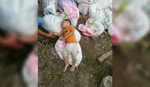 Video yang viral di media sosial itu membuat netizen 'panik' dan memicu perdebatan tentang pelajaran berenang untuk bayi. The Reporter