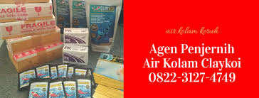 Air Kolam Bergelembung Penjernih Air Kolam Koi Berwarna Hijau Alga Keruh Berbusa Claykoi 0822 3127 4749 Tsel