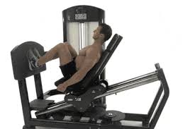 Check spelling or type a new query. The Rock Shared His Leg Workout And It Looks Insane