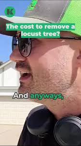 Trimming a honey locust tree by 50% is no easy task! It requires a lot of  debris removal, branch cutting, and stump grinding. #treecare  #honelocusttree #treeworks #treetrimming #trimming #landscaping ...