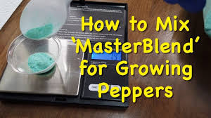 Maybe you would like to learn more about one of these? Everything You Need To Know About Mixing Masterblend 4 18 38 Tomato Fertilizer Youtube
