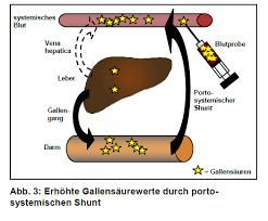 80 % ausscheidung im stuhl, ca. Https Www Scilvet De Fileadmin Editors Germany Produkte Labordiagnostik Fuji Immuno Indikationsliste Gallensaeure Deu 20170109 Pdf