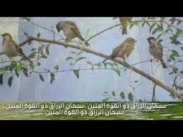 We did not find results for: ØµØ­Ø© Ø¯Ø¹Ø§Ø¡ Ø³Ø¨Ø­Ø§Ù† Ø§Ù„Ø±Ø²Ø§Ù‚ Ø°Ùˆ Ø§Ù„Ù‚ÙˆØ© Ø§Ù„Ù…ØªÙŠÙ† Cam Kaa