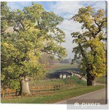 Couper les ponts avec quelqu'un signifie ni plus ni moins que de cesser tous les contacts. Tableau Sur Toile Routes Et De Ponts En Anglais Parc Pixers Nous Vivons Pour Changer