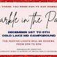 Sparkle in the Park 2025 event image