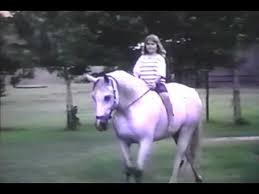 Snowman: 'The Cinderella Horse' That Warmed The Hearts Of A Nation | Cnn