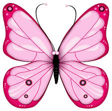 Pink Transparent Butterfly Clipart Butterfly Clip Art Free Clip Art Butterfly Art
