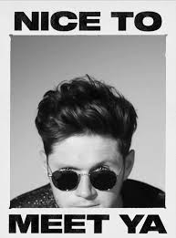 Pin By Paula Zanoff Nacoff On Nialler James Horan Irish Boys Niall Horan