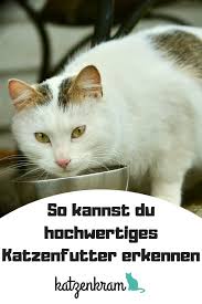 baby es gibt so viele sorten katzenfutter und vor allem so viele minderwertige h in 2020 cats funny cats animals