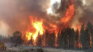 Adana'nın pozantı ilçesinde çıkan orman yangını 1 saatlik müdahale ile söndürüldü. Bootleg Fire Jumps To 38 000 Acres Forcing Evacuations In Klamath County Katu