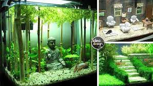 Decorazione Originale Acquario 17 Idee Fantastiche Planted Aquarium Idee Decorazioni