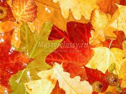 We did not find results for: Wallpaper Autumn 314167 Info