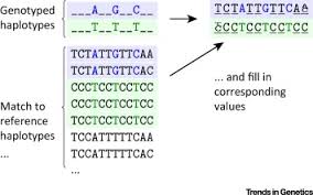 نتیجه جستجوی لغت [impute] در گوگل