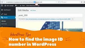 Attachment_url_to_postid function can be use to get attachment (image) id by image url. How To Find The Image Id Number In Wordpress Tawfiq S Blog