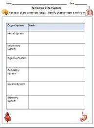 Human Body Organ Systems Worksheets For Grade 3 4 Google Classroom Human Body Organs Human Body Organ System Body Organs