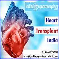 Heart Transplant Surgery In India At An Affordable Cost Heart Transplant Transplant Organ Transplant