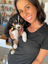 Australian cattle dog names for two puppies