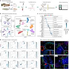 Image result for Turquoise 1977 Caloric