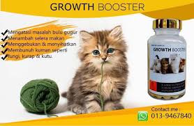 Makanan kucing pabrikan yang di sarankan untuk kucing kesayanganmu. Ubat Kucing Sihat Gebu Home Facebook