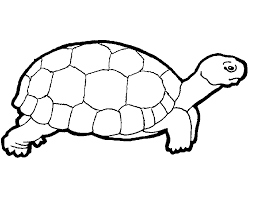 There are tons of great resources for free printable color pages online. Turtle Printables Coloring Home