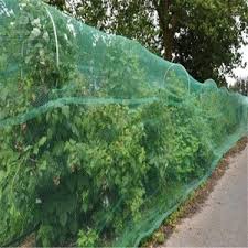 If you have any fruit trees, and especially if you live where the winters are long and cold, you may have seen the damage even a few hungry deer can do to the tender tree buds and even small. Brztv7fp5d Eum
