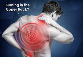 On anatomical parts the user can choose to display the various structures in colored illustrations of the anatomy of the back and spine: Burning Sensation In The Upper Back Bonati Spine Institute