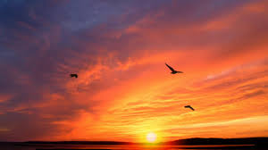 Sunrise good morning images wallpaper pictures free hd download for whatsapp & facebok. Beautiful Sunrise Video With Birds Early Morning Time Lapse Youtube