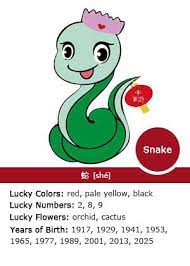 Snake Chinese Zodiac Sign Symbolism Chinese Zodiac Snake Chinese Zodiac Chinese Zodiac Signs