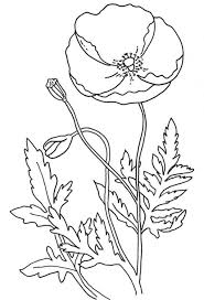 Printable Poppy Coloring Pages Free Coloring Sheets Poppy Coloring Page Flower Coloring Pages Poppy Images